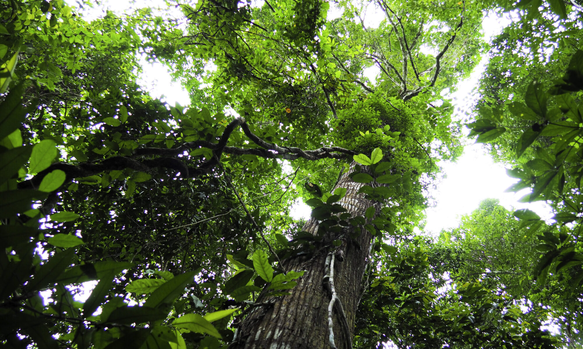 Photographie de voyage